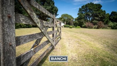 CASA DE CAMPO EN VENTA SANTA CLARA 7200 mts