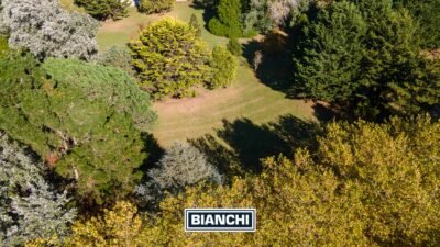 Calle Domingo y Ofelia, Venta Sierra de los Padres-12