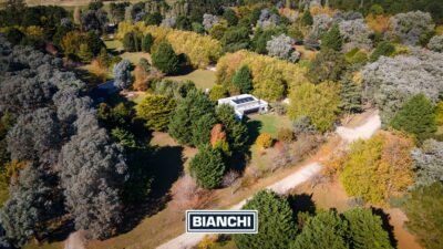 Calle Domingo y Ofelia, Venta Sierra de los Padres-14