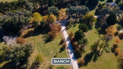 Calle Domingo y Ofelia, Venta Sierra de los Padres-16