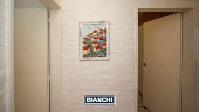 Calle Domingo y Ofelia, Venta Sierra de los Padres-16