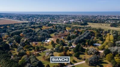 Calle Domingo y Ofelia, Venta Sierra de los Padres-18