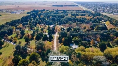 Calle Domingo y Ofelia, Venta Sierra de los Padres-2