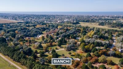 Calle Domingo y Ofelia, Venta Sierra de los Padres-20