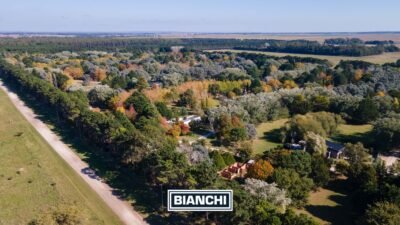 Calle Domingo y Ofelia, Venta Sierra de los Padres-22