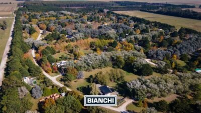 Calle Domingo y Ofelia, Venta Sierra de los Padres-23