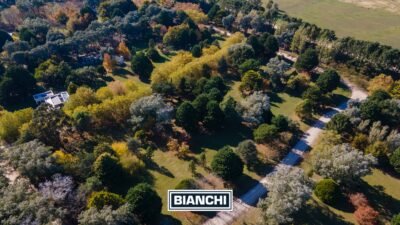 Calle Domingo y Ofelia, Venta Sierra de los Padres-3