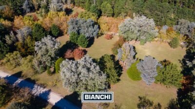 Calle Domingo y Ofelia, Venta Sierra de los Padres-7