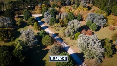 Calle Domingo y Ofelia, Venta Sierra de los Padres-8