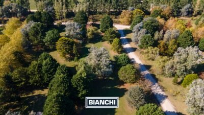 Calle Domingo y Ofelia, Venta Sierra de los Padres-9